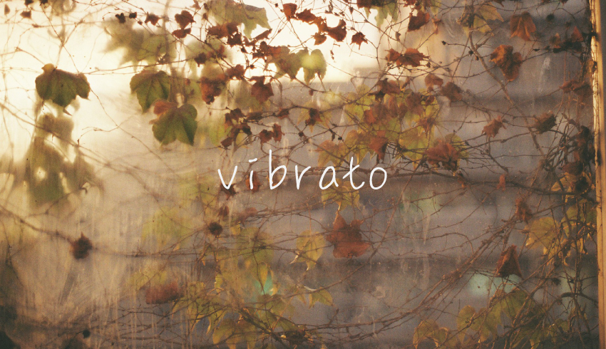 フィルム写真展「vibrato（ビブラート）」出展者募集