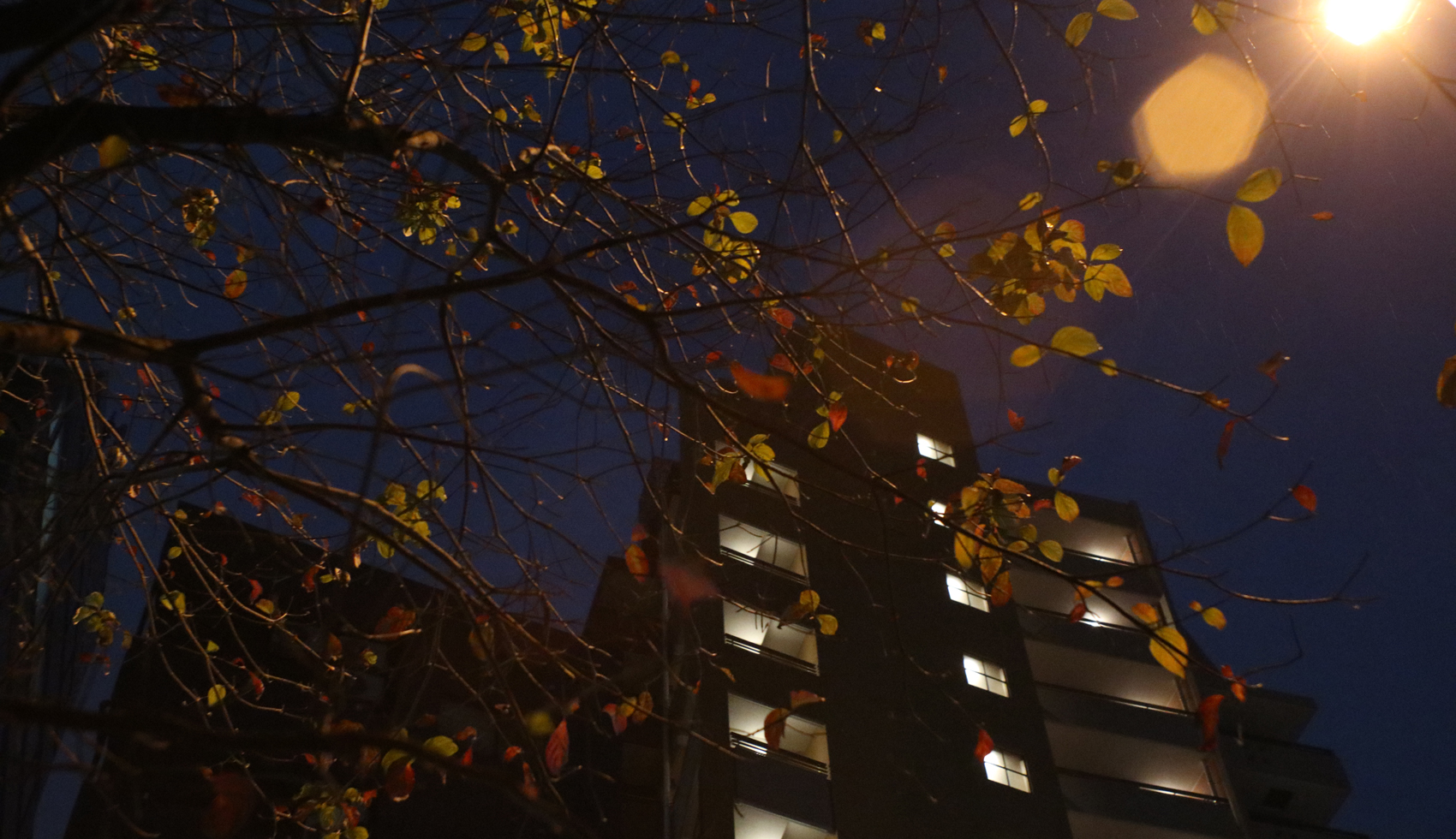 夜の写真展「at night」 出展者募集