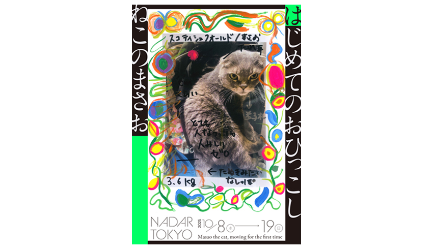 イシダマイ写真展「 ねこのまさお   はじめてのおひっこし 」