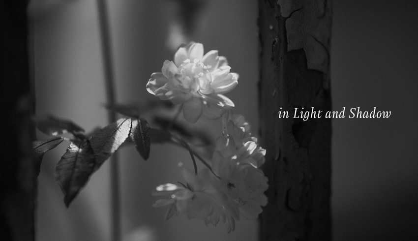 モノクロ写真展「in Light and Shadow」出展者募集