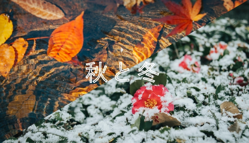 「秋と冬」 出展者募集