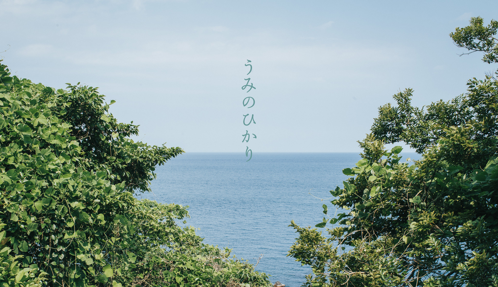 海の写真展「うみのひかり」出展者募集