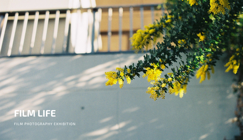 フィルム写真展「FILM LIFE」出展者募集