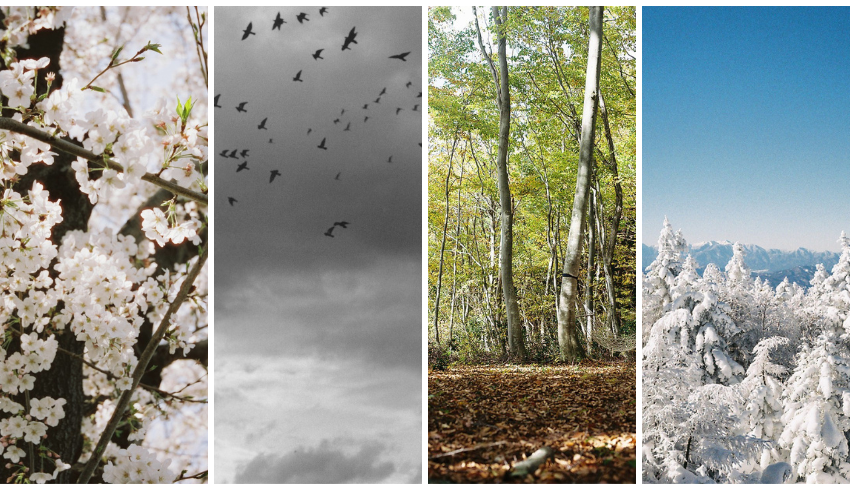 ネイチャー写真展「私の中にある自然」 出展者募集