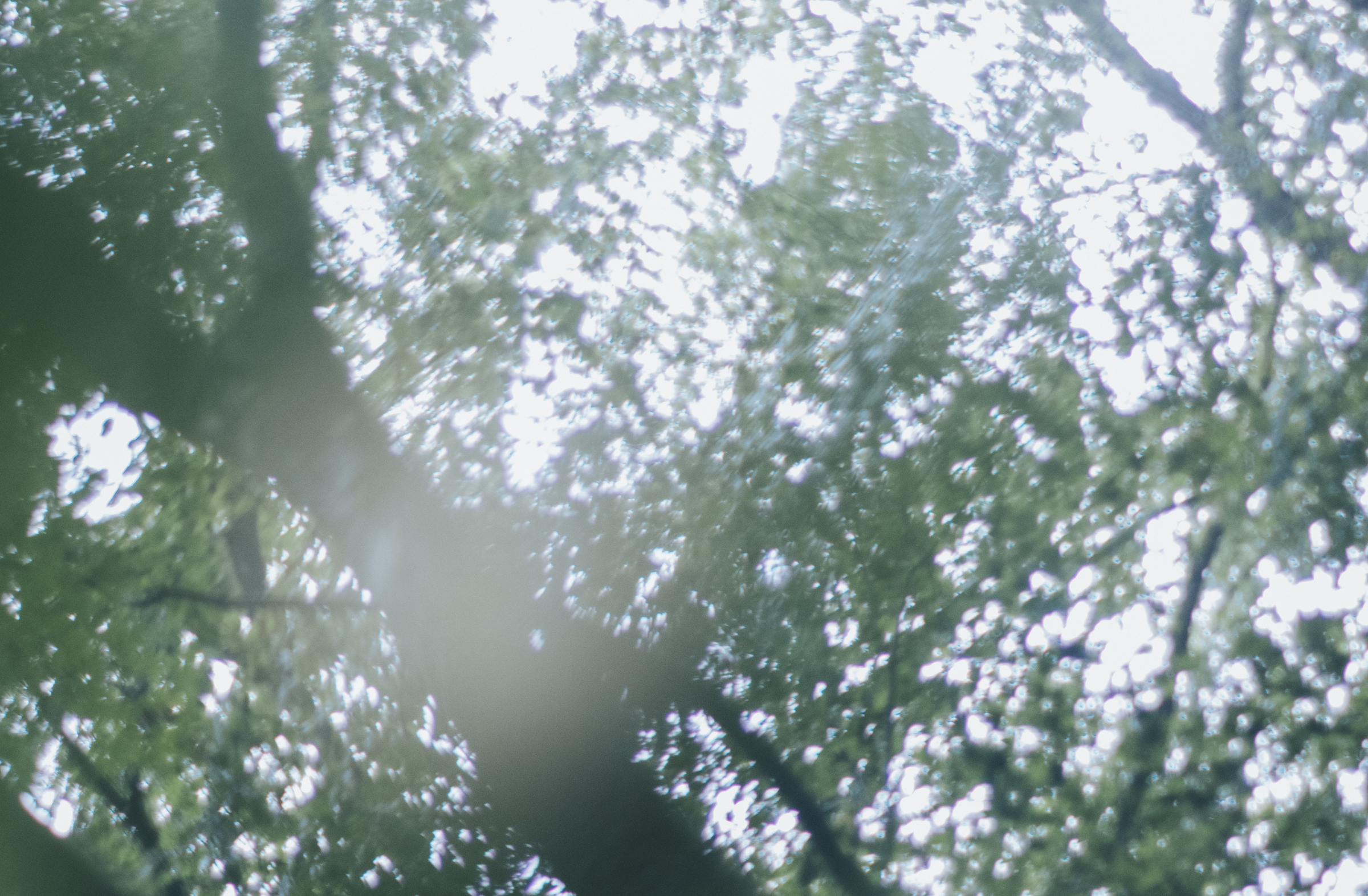 ネイチャー写真展「私の中にある自然」