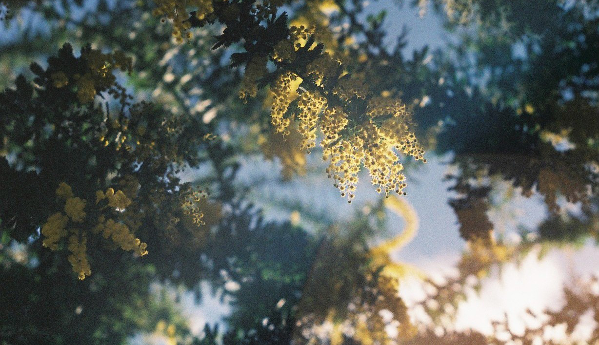 フィルム写真展「FILM LIFE」