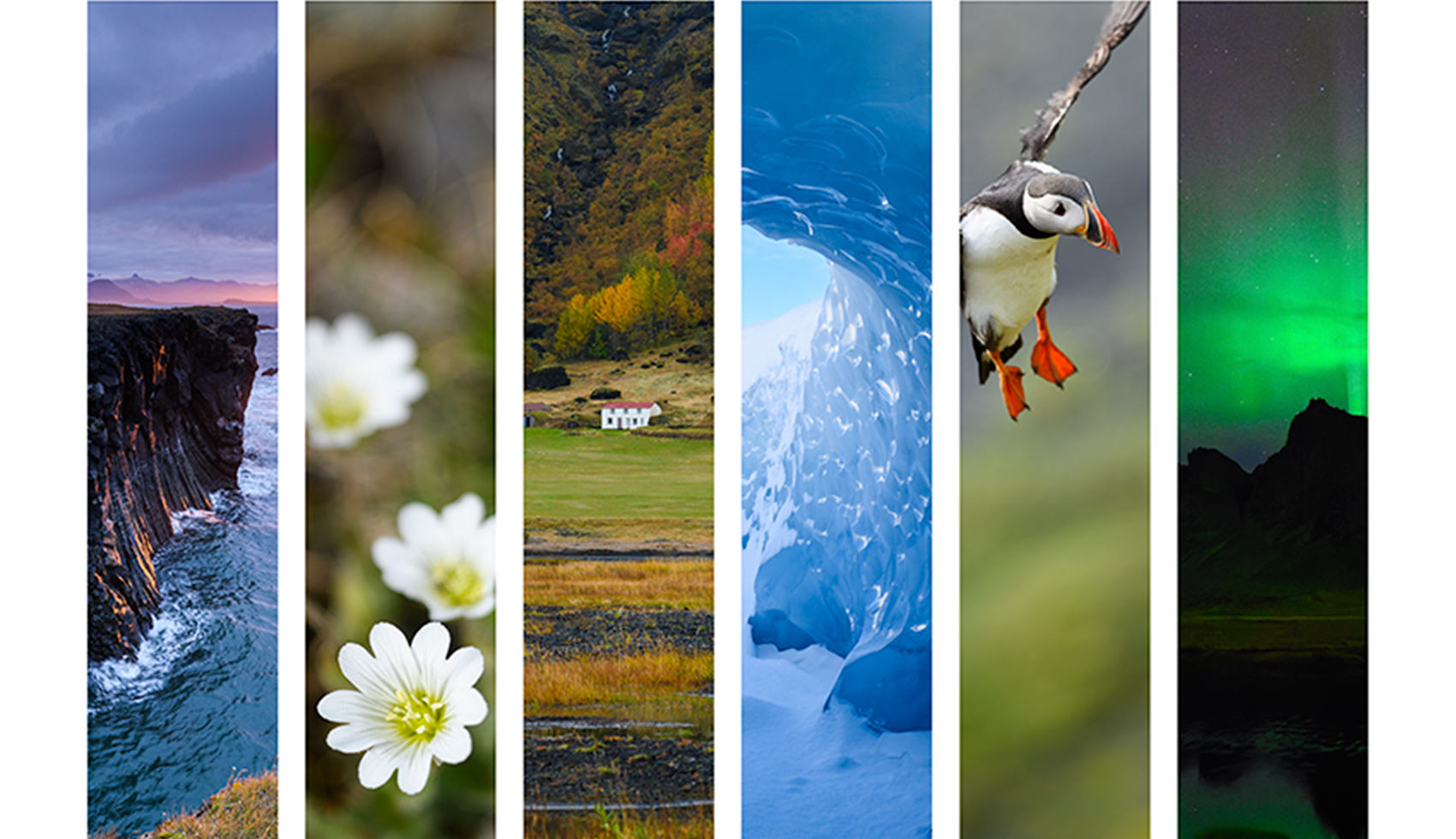 What I Saw, What I Found　-fragments of Iceland-